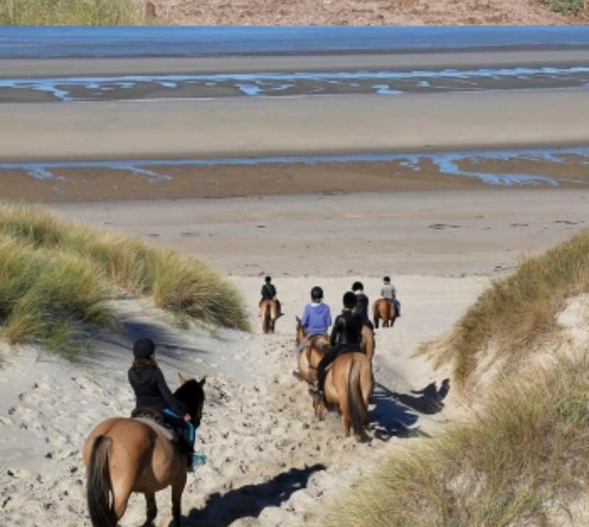Joie De Vivre Le Touquet Daire Dış mekan fotoğraf